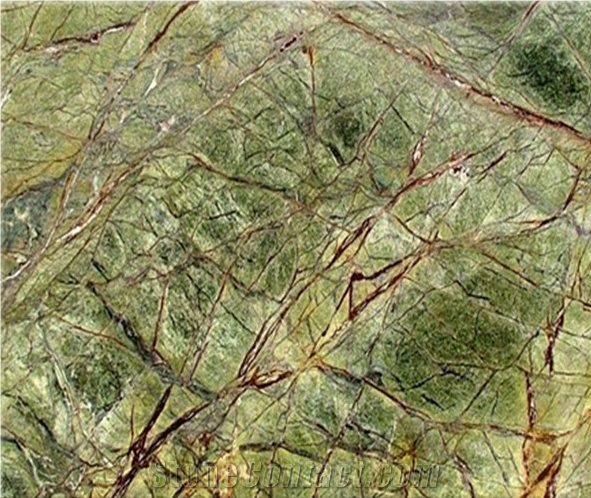 India Green Marble Rainforest Green Marble Slab