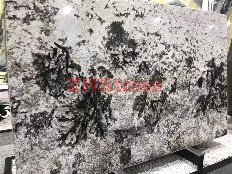 Bianco Antico Granite Slab for Wall Covering