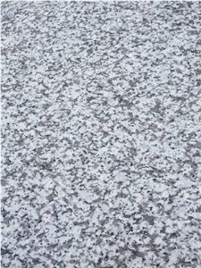 New Gray Granite G439 Granite Slab Wholesale