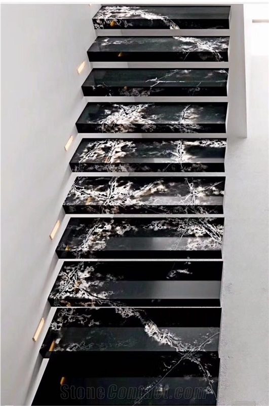 Black and White Stair and Steps