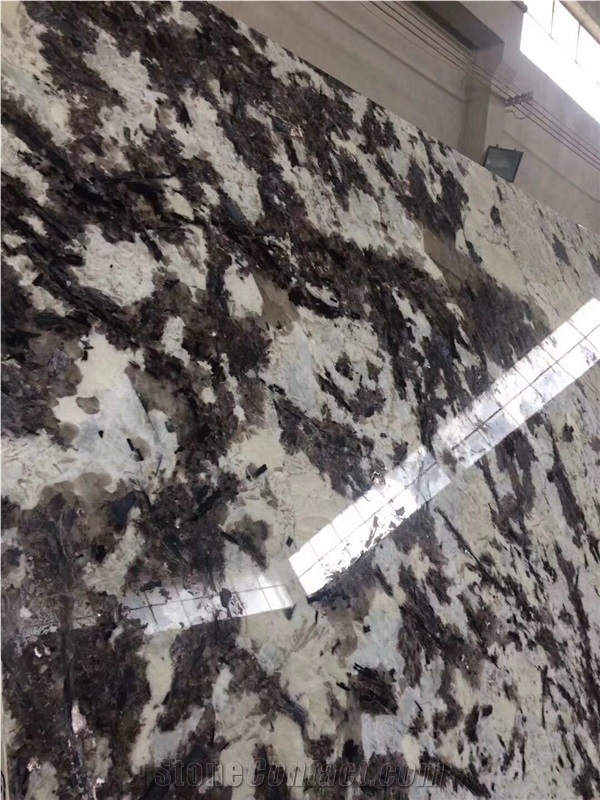 White Granite Natural Bianco Antico Granite From China Stonecontact Com