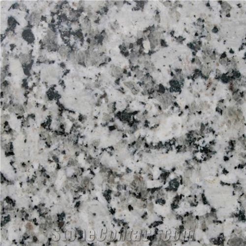 Emporio White Granite Slabs & Tiles, Spain White Granite
