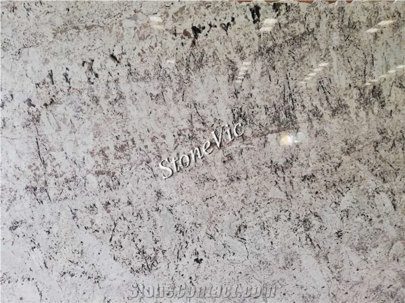 Venus Galaxy Granite,White Argento Tiles&Slabs,Custom,Translucent,Wall