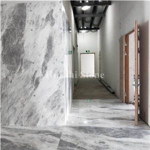 Orlando Grey Marble/Chinese Grey Marble/Hotel Projects/Polished Marble