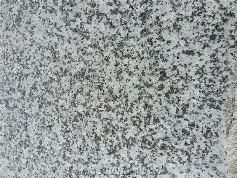 G439 Big White Flower Granite Tiles & Slabs, China White Granite