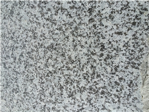 G439 Big White Flower Granite Tiles & Slabs, China White Granite