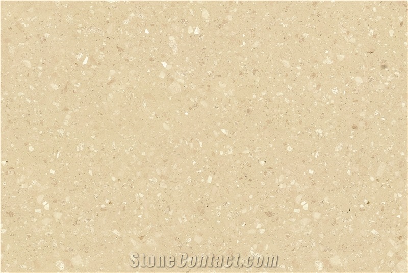 Ls-E013 Sago / Artificial Stone Tiles & Slabs,Floor & Wall