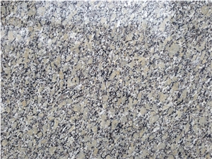 Polished Gold Autumn Granite Tiles&Slabs Granite Flooring&Walling