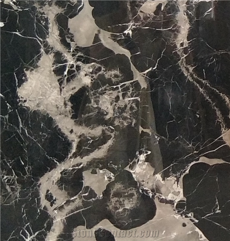 China Century Black Ice Marble for Wall and Floor Covering