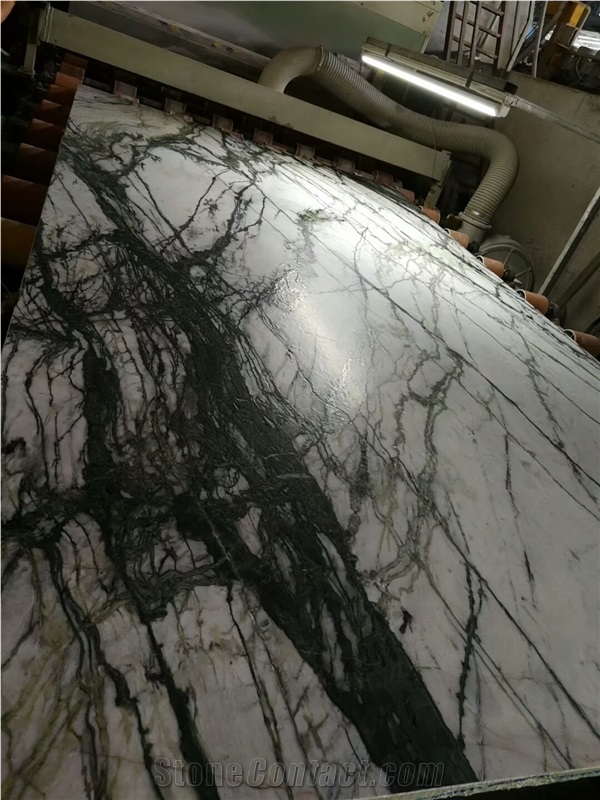 Leather Surface Clivia White Marble