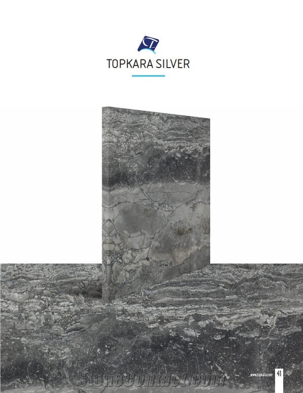 Topkara Silver Marble Tiles & Slabs