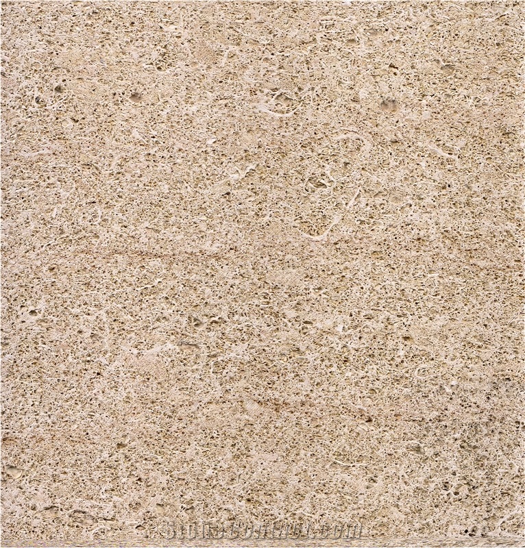 Amarillo Fossil Sandstone Tiles, Arenisca Fossil