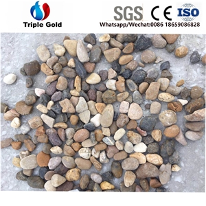 Walkway River Pebbles Stone Tumbled Color Garden Landscaping