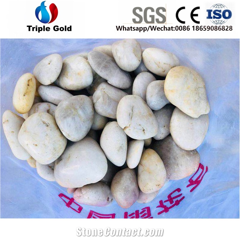 Washed Tumbled Walkway Pebble River Pebbles Stone Garden Landscaping
