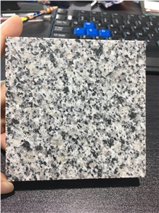 China Granite Slabs White Gray Granite Tiles Counter Kitchen Top G603