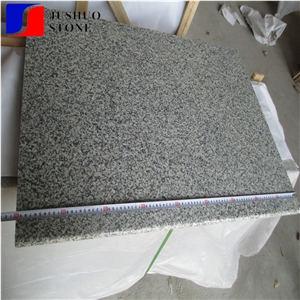 G3523 G623 Granite,Barry White Granite,New Bianco Sardo China