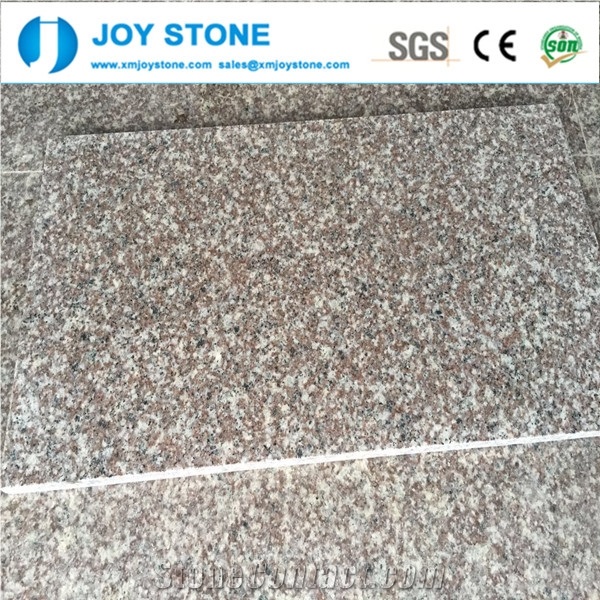 China Pink Hot Selling Granite Tile G664 High Quality
