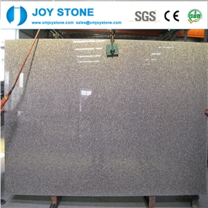 China Pink Porrino Granite G664 Big Granite Slab Size