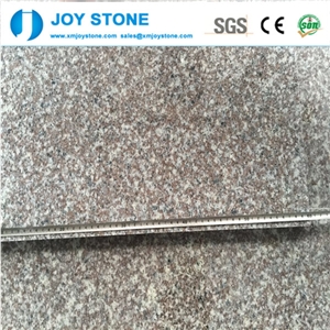 Chinese Factory Cheap Brown G664 Granite Tiles Price