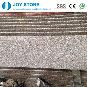 Whole Sales Polished G6363 Almond Pink Padang Rosa Granite Stair Tread