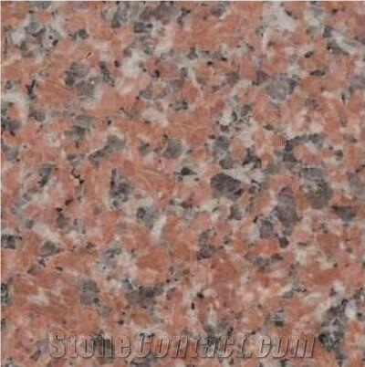 China Cenxi G562 Red Granite Tiles
