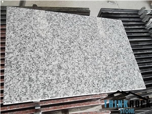 Polished Jiaomei G623 White Granite Tiles