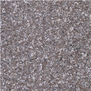 Deer Brown (G664) Cheap Granite Tiles for Wall and Floor Covering
