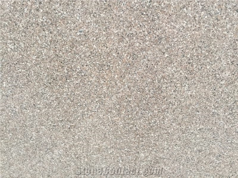 G664 Granite Price, China Deer Brown Granite Slabs