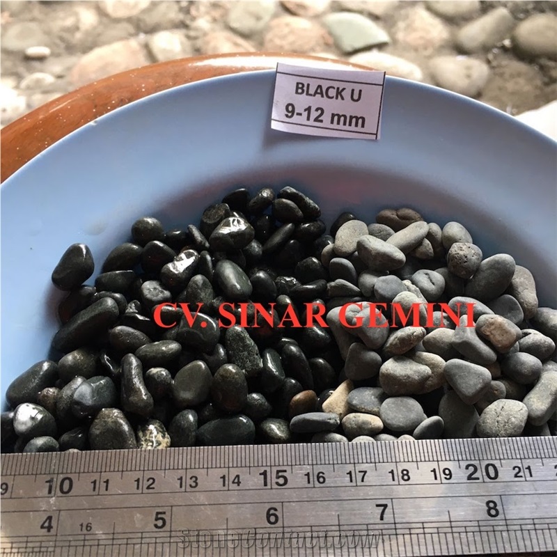 Natural Black Mini Pebble