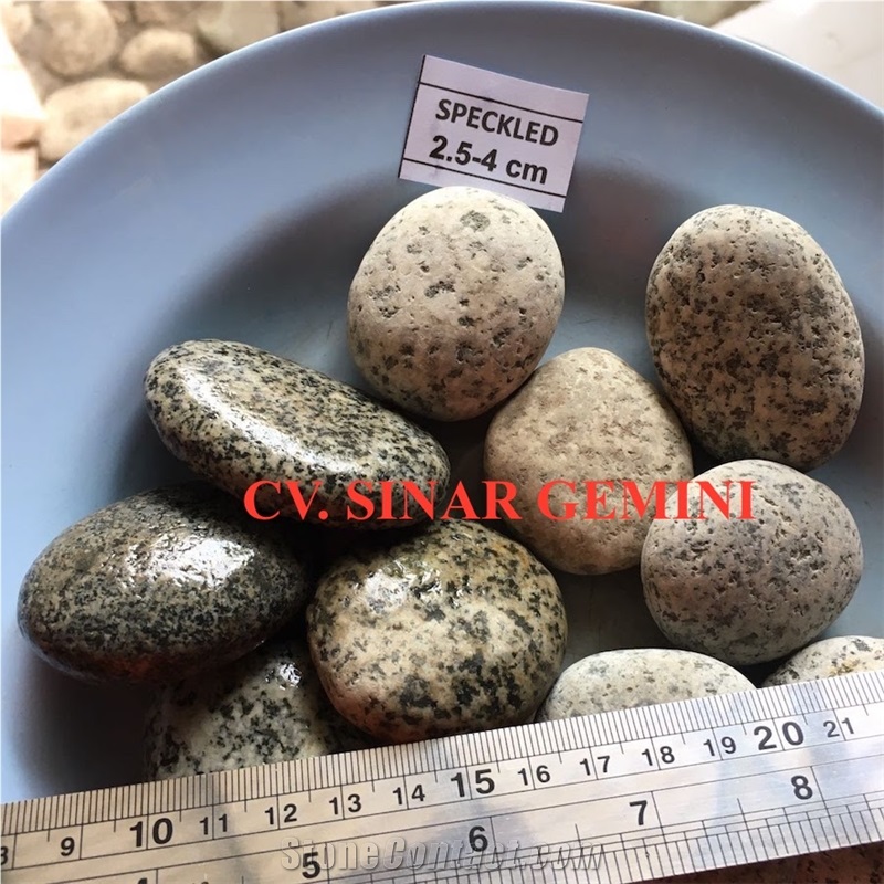 Natural Speckled Pebble Stone