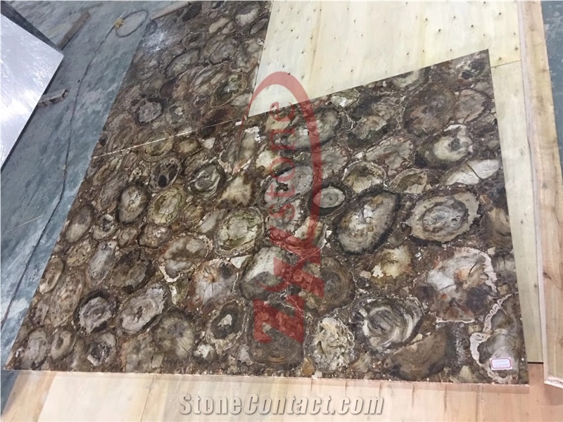 Petrified Wood Round Texture Countertops From China