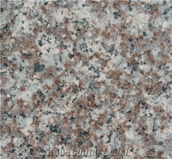 G664 Bainbrook Brown,China Red Granite,Luoyuan Red for Sale