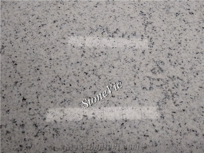 New White Rose/Sesame Granite for Floor,Wall,Counter Top,Vanity,Cladding