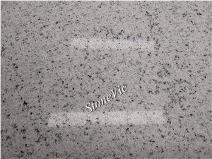 New White Rose/Sesame Granite for Floor,Wall,Counter Top,Vanity,Cladding