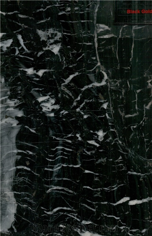 India Black Gold Marble