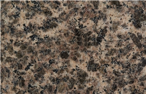 China Factory Stone with Different Type Granite