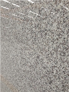 Chinese Cheap Grey White Granite G439