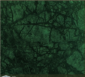 Grade a Rich Use Type New Decorative Green Granite Price