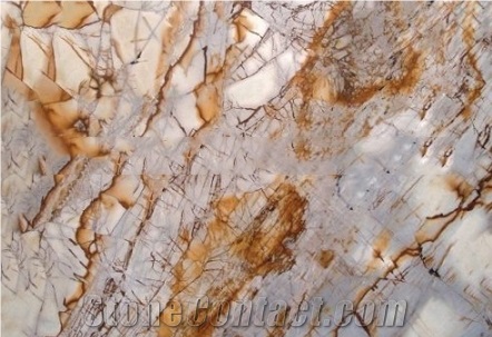 Hot Sale Natural Roma Imperiale Granite Slabs for Sale