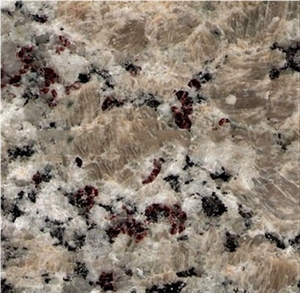 Manufacture Cheap Granite Giallo Butterfly Granite