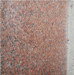 New Style Red Granite G562 Stone