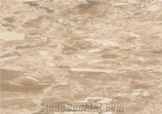 Piel Serpiente - Piel Serpentina, Spain Brown Marble Slabs & Tiles