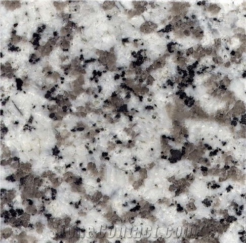 White Granite Bianco Sardo G439