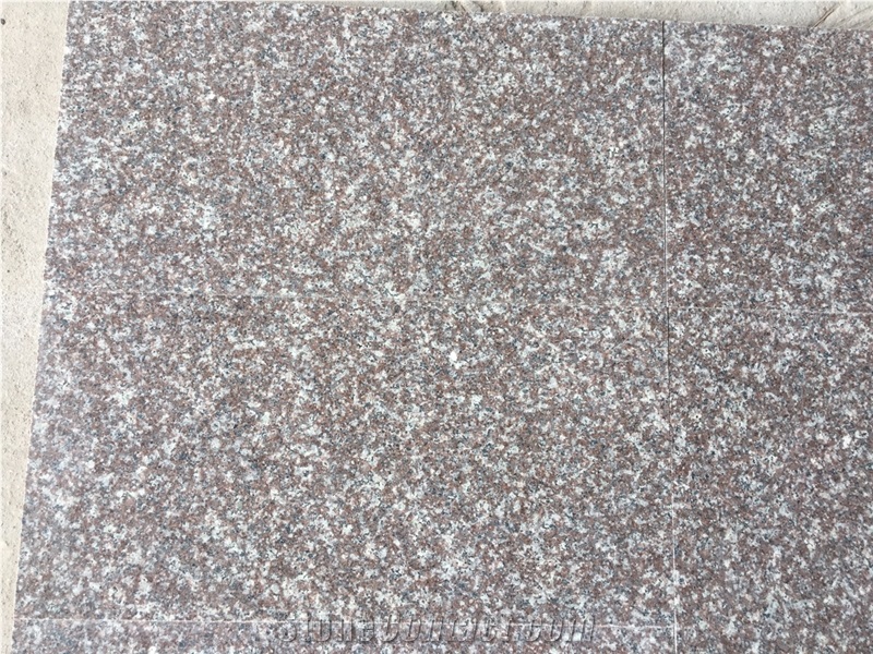 Old Quarry G664 Granite Tiles 60x60 60x30 Professional Supplier
