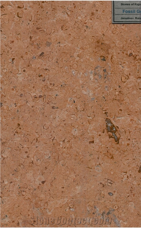 Fossil Gold Limestone Tiles