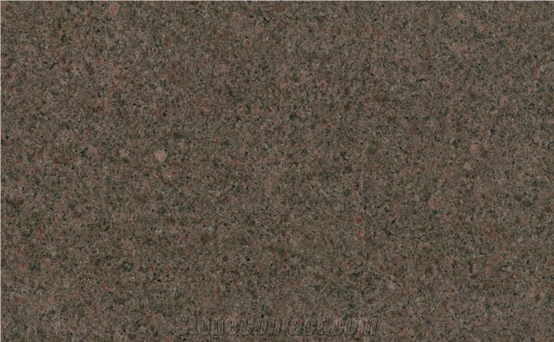 Z Brown Granite,Jalore Brown Granite