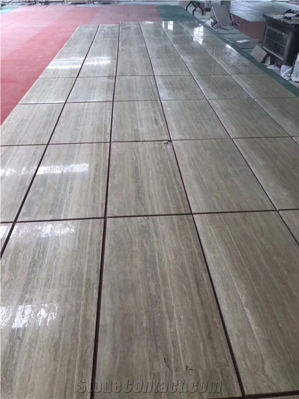 Italy Silver Travertine for Wall and Floor Covering