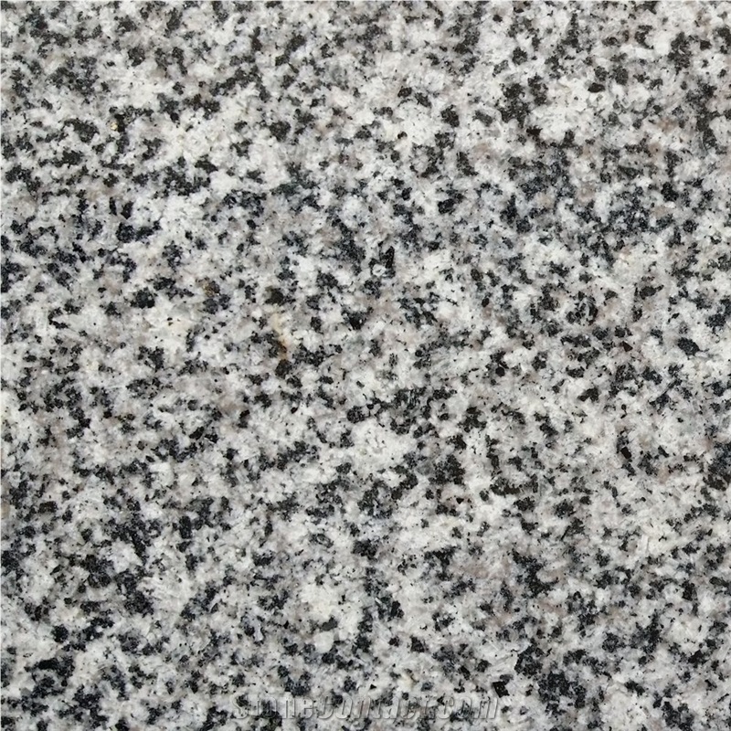 White and Grey Granite G640 Chinese Cheap Granite for Floor Tile