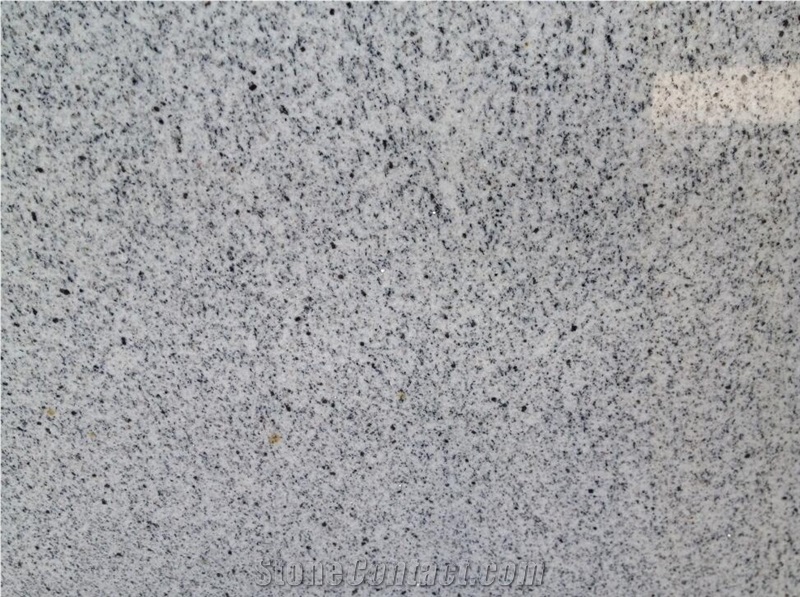 Gwg39/Shandong White/Outside&Inside Wall/Floor