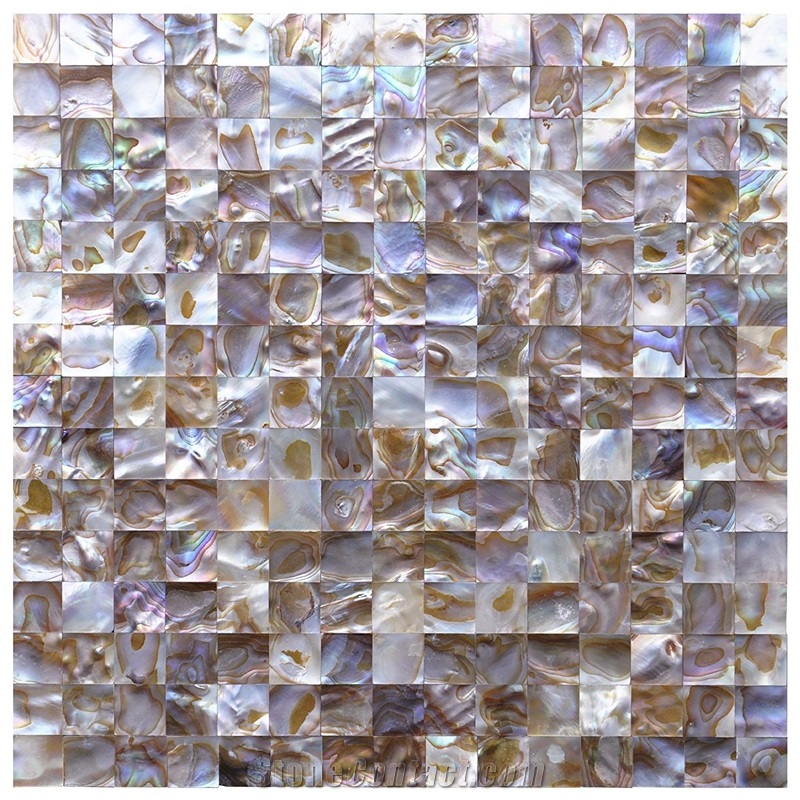 Iridescent Seashell Mosaic Wall Tile Backsplash 12 X 12 Square Pattern